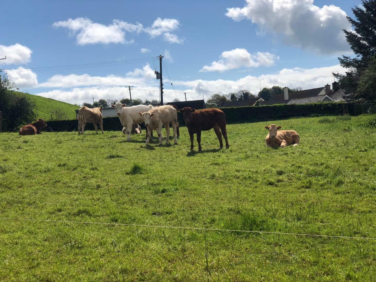 Glendale House Bed & Breakfast Monaghan Bagian luar foto